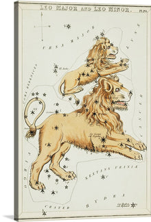  This celestial print, featuring the constellations Leo Major and Leo Minor, is a stunning blend of art and astronomy. The artwork showcases golden-hued lions, resplendent in their regality, leaping amidst a stelliferous tapestry. Each star and constellation is meticulously mapped, echoing the silent symphony of the cosmos. Ursa Major watches silently; Sextans and Crater add to the cosmic ballet. 