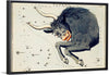 "Sidney Hall’s (?-1831) Astronomical Chart Illustration of the Taurus"