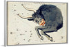 "Sidney Hall’s (?-1831) Astronomical Chart Illustration of the Taurus"