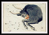 "Sidney Hall’s (?-1831) Astronomical Chart Illustration of the Taurus"