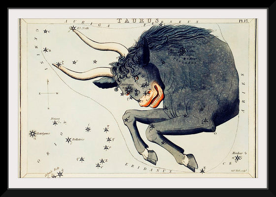 "Sidney Hall’s (?-1831) Astronomical Chart Illustration of the Taurus"