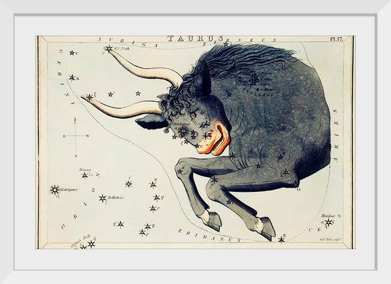 "Sidney Hall’s (?-1831) Astronomical Chart Illustration of the Taurus"