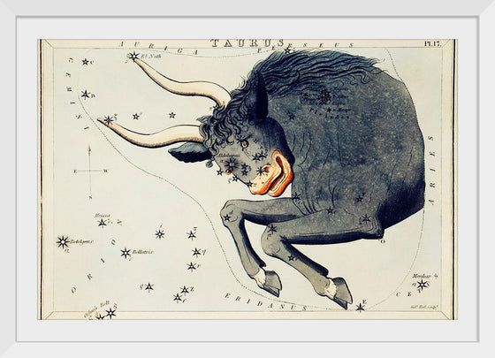 "Sidney Hall’s (?-1831) Astronomical Chart Illustration of the Taurus"