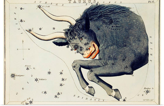 "Sidney Hall’s (?-1831) Astronomical Chart Illustration of the Taurus"