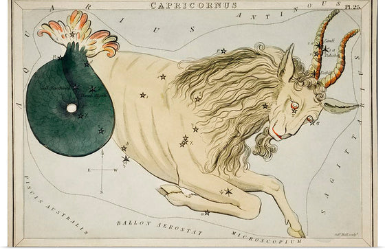 "Sidney Hall’s (1831) Astronomical Chart Illustration of the Zodiac Capricornus"