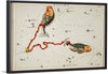 "Sidney Hall’s (1831) Astronomical Chart Illustration of the Pisces"