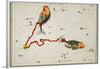 "Sidney Hall’s (1831) Astronomical Chart Illustration of the Pisces"