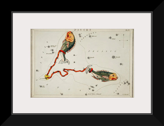 "Sidney Hall’s (1831) Astronomical Chart Illustration of the Pisces"