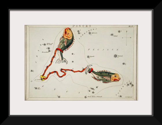 "Sidney Hall’s (1831) Astronomical Chart Illustration of the Pisces"