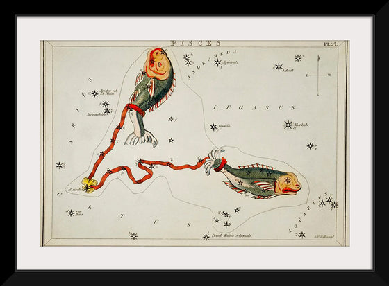 "Sidney Hall’s (1831) Astronomical Chart Illustration of the Pisces"