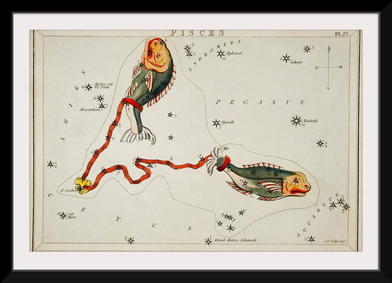 "Sidney Hall’s (1831) Astronomical Chart Illustration of the Pisces"