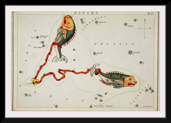 "Sidney Hall’s (1831) Astronomical Chart Illustration of the Pisces"