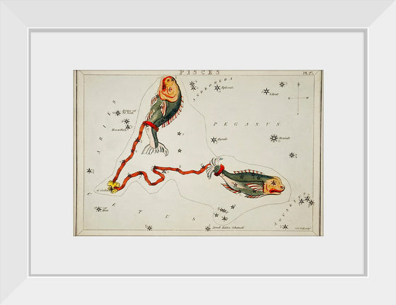 "Sidney Hall’s (1831) Astronomical Chart Illustration of the Pisces"