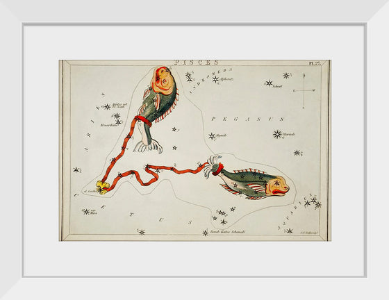 "Sidney Hall’s (1831) Astronomical Chart Illustration of the Pisces"