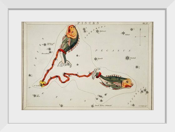 "Sidney Hall’s (1831) Astronomical Chart Illustration of the Pisces"