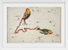 "Sidney Hall’s (1831) Astronomical Chart Illustration of the Pisces"