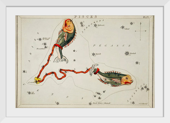 "Sidney Hall’s (1831) Astronomical Chart Illustration of the Pisces"