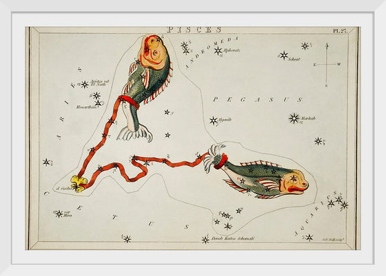 "Sidney Hall’s (1831) Astronomical Chart Illustration of the Pisces"