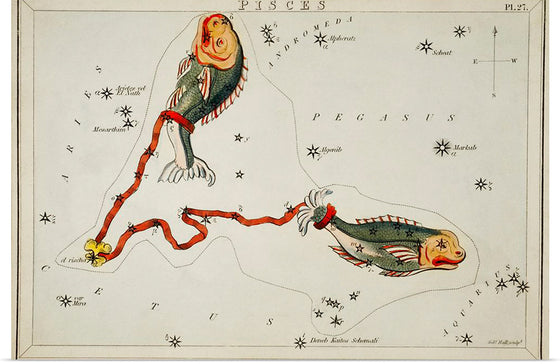 "Sidney Hall’s (1831) Astronomical Chart Illustration of the Pisces"