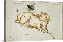  “Astronomical chart illustration of Aries and Musca Borealis (1831)” by Sidney Hall is a captivating artwork that captures the ethereal beauty of the Aries constellation alongside the lesser-known Musca Borealis, rendered in meticulous detail. The central figure, a majestic ram adorned with golden horns, embodies the strength and determination characteristic of those born under this zodiac sign.