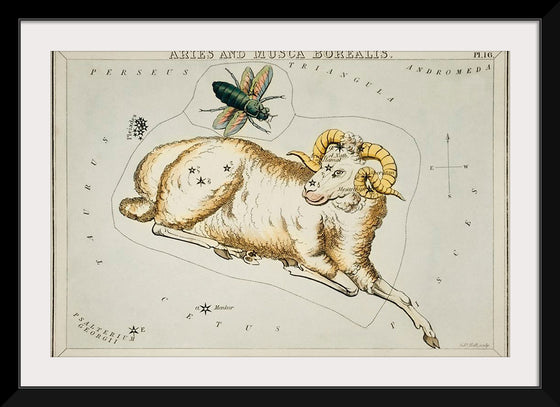 "Astronomical Chart Illustration of Aries and Musca Borealis (1831) ", Sidney Hall