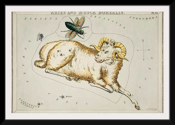 "Astronomical Chart Illustration of Aries and Musca Borealis (1831) ", Sidney Hall