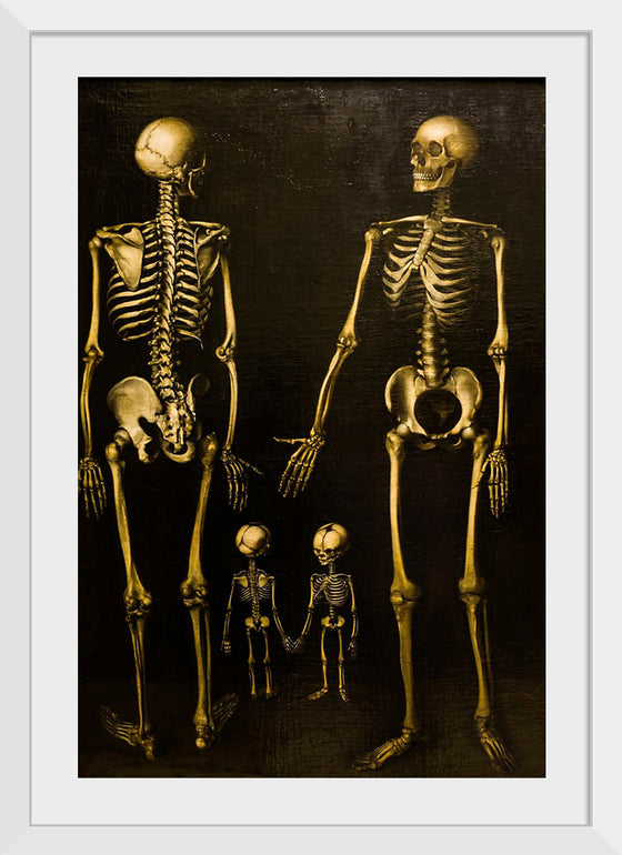 "Skeletons"