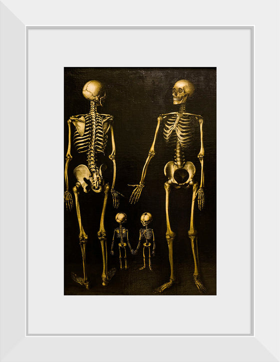 "Skeletons"