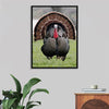 "Wild turkey bird"