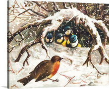  Immerse yourself in the serene beauty of winter with this enchanting art print. A tender scene unfolds as a robin, adorned in its warm russet and gray plumage, delivers a heartfelt Christmas greeting to a huddle of vibrant, yet chilly, tits nestled within their snow-laden sanctuary. The intricate detailing captures the frosty splendor of the season and the intimate exchange between woodland companions.