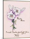 “Easter Peace signed and inscribed” is a beautiful print that would make a great addition to any art collection. The print features a delicate watercolor of white lilies, a symbol of peace and purity, with the words “Easter Peace” written above. This print is perfect for anyone who appreciates fine art or is looking for a unique and meaningful gift for the Easter holiday. 