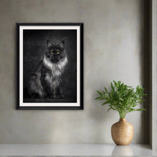  “Black, Silver Maine Coon Cat Sitting in Black Background” invites you to the heart of feline elegance. This exquisite print captures the enigmatic allure of a majestic Maine Coon cat—the largest domesticated breed—against a velvety black backdrop. Every strand of its luxurious fur, every intense gaze from its golden eyes, is meticulously rendered. 
