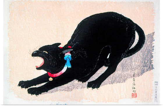 "Black Cat Hissing", Hiroaki Takahashi