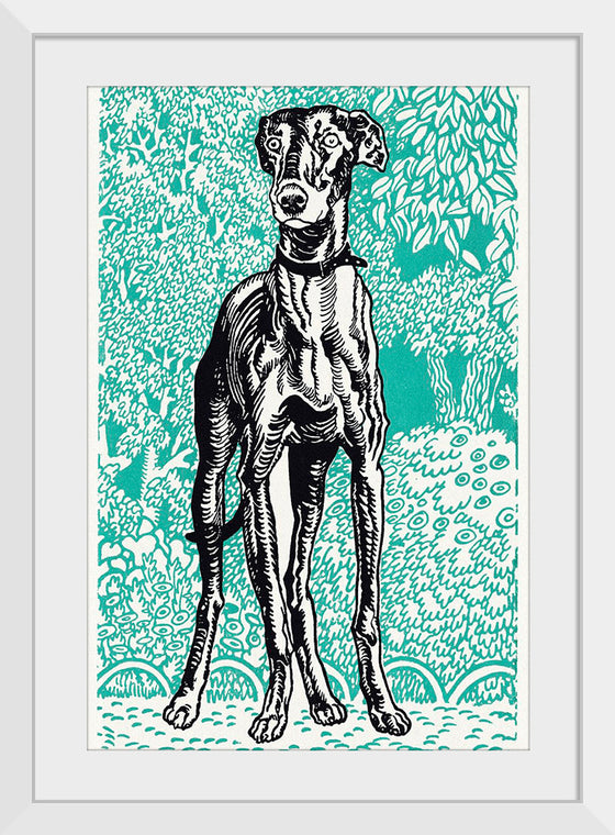 "Greyhound (1912)", Moriz Jung