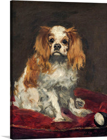  Elevate your space with the timeless elegance of Edouard Manet's "A King Charles Spaniel (1866)," now available as a captivating print. Edouard Manet, a pioneering figure in the 19th-century art scene, defied convention and reshaped the trajectory of modern art. Known as a bridge between Realism and Impressionism, Manet's bold and innovative approach challenged established norms.