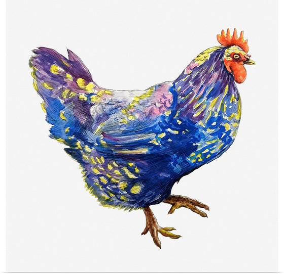 "Blue Chicken"