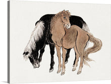  This is an illustration of two horses, a black horse with a white mane, and a brown horse with a brown mane. The black horse is leaning down, while the brown horse is looking curiously over to the side.