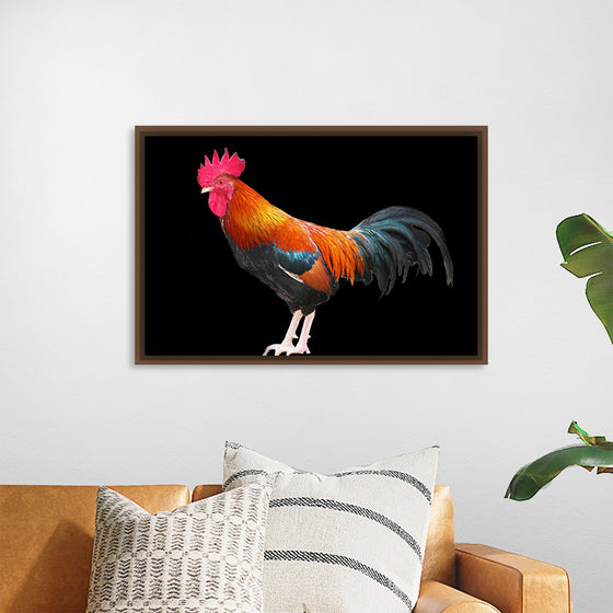 "Rooster"