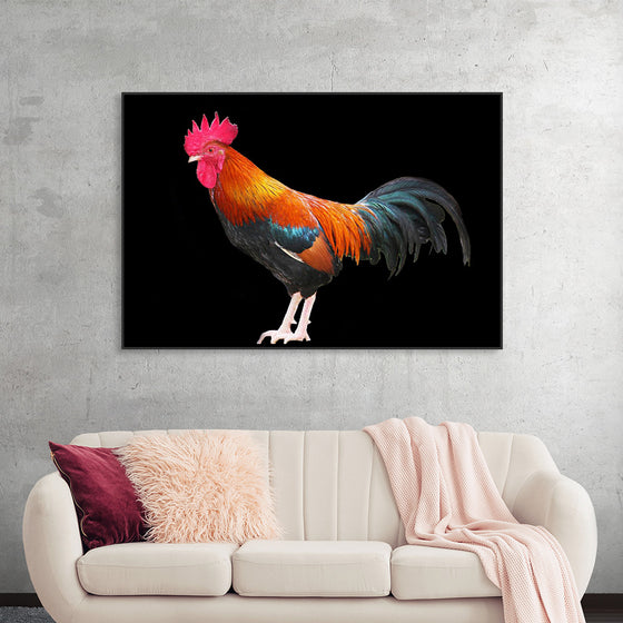 "Rooster"