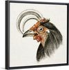 "Head of a Rooster (1816)", Jean Bernard