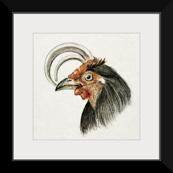 "Head of a Rooster (1816)", Jean Bernard