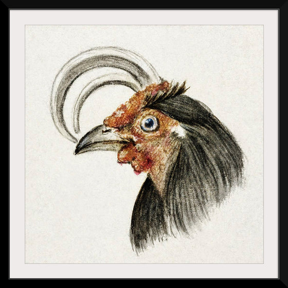 "Head of a Rooster (1816)", Jean Bernard