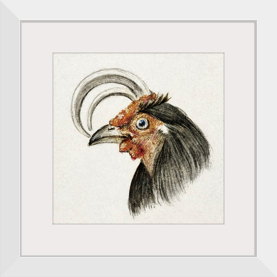 "Head of a Rooster (1816)", Jean Bernard