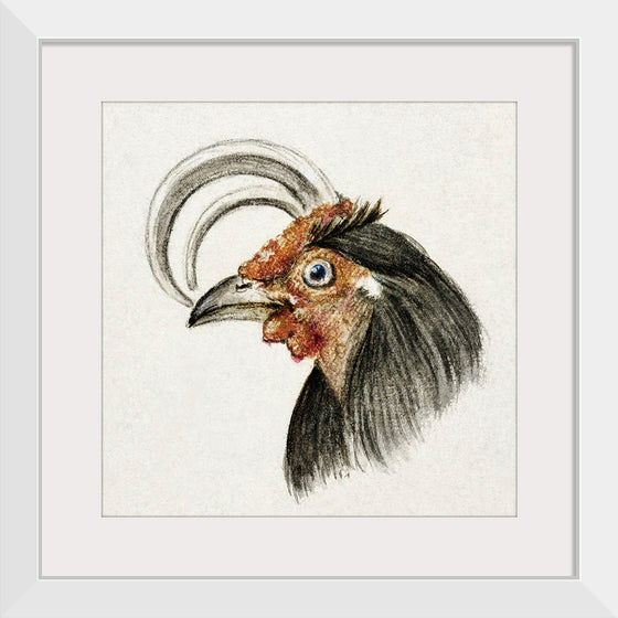 "Head of a Rooster (1816)", Jean Bernard