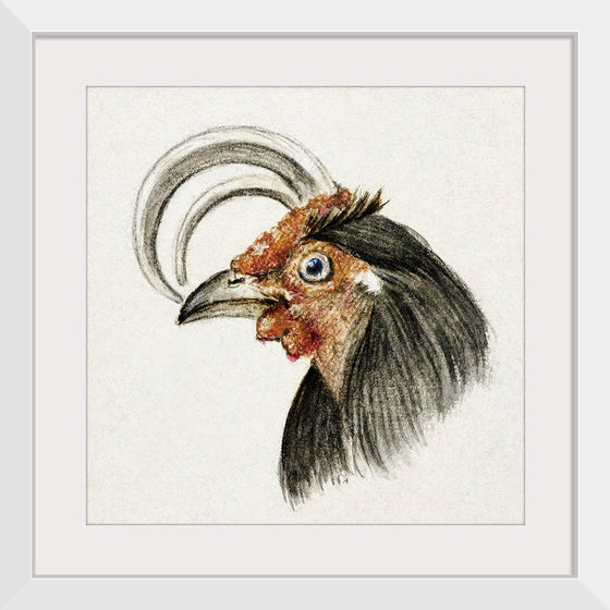 "Head of a Rooster (1816)", Jean Bernard