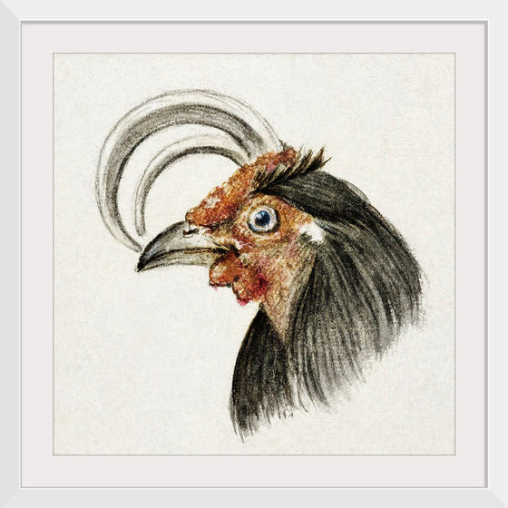 "Head of a Rooster (1816)", Jean Bernard