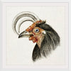 "Head of a Rooster (1816)", Jean Bernard