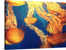  “Dive into the mesmerizing depths of the ocean with our “Jellyfish” art print. Each intricately detailed jellyfish is a testament to the artist’s mastery, with vibrant hues and delicate textures that seem to pulse with life. This exquisite print invites viewers into a serene underwater world, where jellyfish dance gracefully amidst the azure waters, illuminating the ocean’s mysteries. 