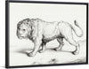 "Lion (1775-1883)", Jean Bernard