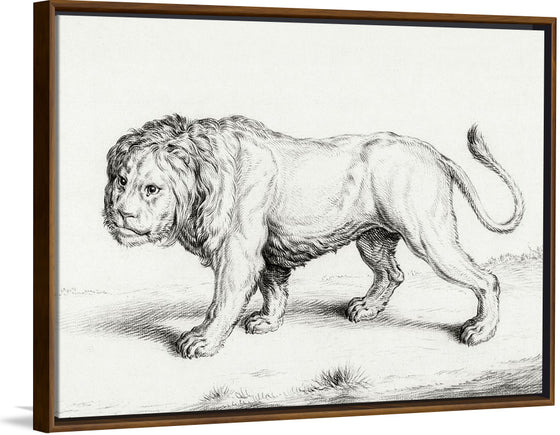"Lion (1775-1883)", Jean Bernard